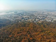 -紫金山山顶公园