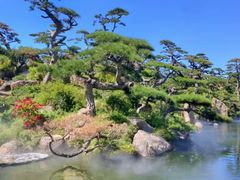 -罗红摄影艺术馆