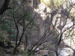 -青峰峡国家森林公园