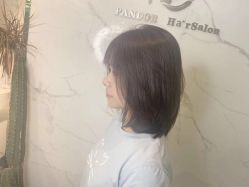 -潘多拉Hairsalon