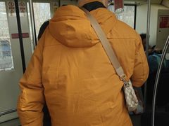 -浦江镇(地铁站)