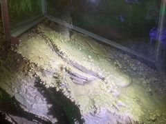 -浮戏山雪花洞风景名胜区