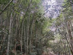 -黄山翡翠谷景区