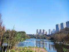 -重庆彩云湖湿地公园