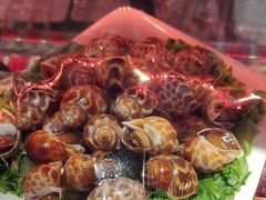 -杨小佳·齐齐哈尔烤肉·烤串(广州店)