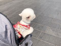 -椰子下蛋(南锣鼓巷店)