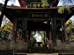 -昆明动物园