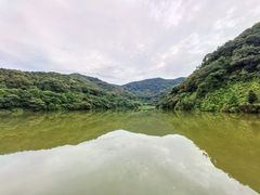 -黄埔油麻山森林公园