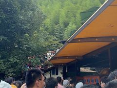 -将军关探险漂流