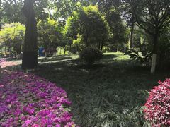 -龙头寺公园