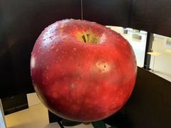 -安徒生博物馆