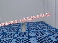 -安东易迷你仓自助寄存仓库(淞虹路店)
