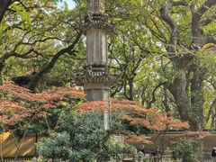 -普陀山风景名胜区-法雨禅寺