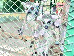 -水上乐园·欢乐世界