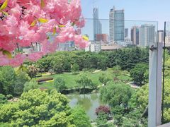 -城市露台景观餐厅(淮海路店)