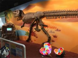 -北京科学中心儿童乐园