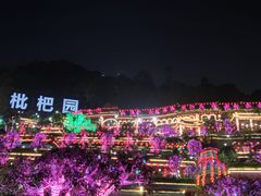-枇杷园食为鲜火锅(南山店)