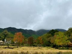 -塔川景区