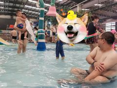 -南宫温泉水世界