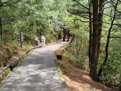-苍山感通索道