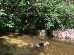 -碓臼峪自然风景区