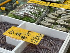 -寻味顺德·南记酒家·传统顺德菜·鱼生(广源路店)