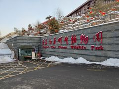-青藏高原野生动物园