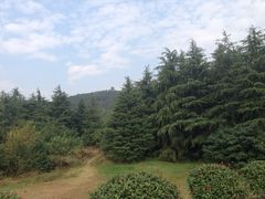 iphone_upload_pic-苏州环秀晓筑养生度假村