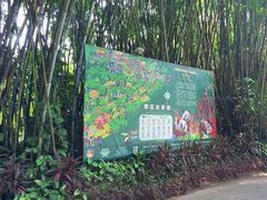 -海南热带野生动植物园