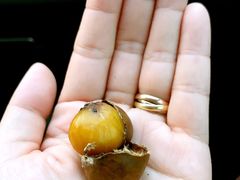 -阿男野栗王(金门路店)