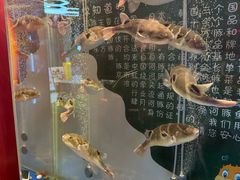 -肆月河豚·新淮扬菜·烤鸭(中关村店)