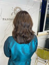 -潘多拉Hairsalon
