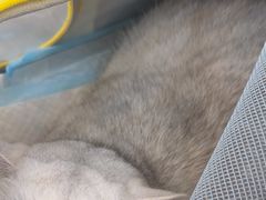 -贝康宠物医院·犬猫全科·小动物特色诊疗中心(东环路店)