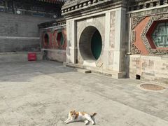 -火炉火自助餐(喜隆多店)