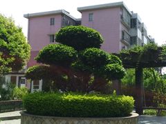 -广州神农草堂中医药博物馆