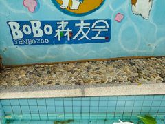 -杭州开元森泊度假乐园