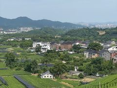 -龙坞茶村