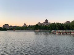 -莲花池公园