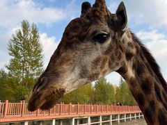 -鄂尔多斯野生动物园