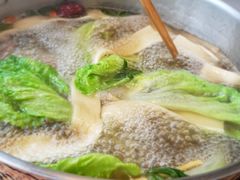 -菌子鲜汤野生菌锅