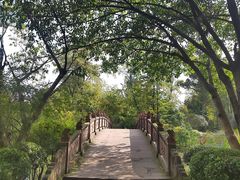 -桂湖森林公园