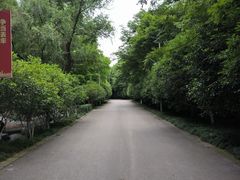 -幕燕滨江·长江观音景区