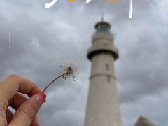 -悦海公园