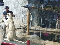 -清迈夜间动物园