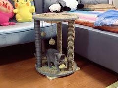 -莘程宠物医院(金山店)