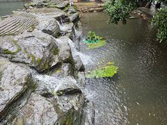 -天怡·鱼工厂(梅溪湖店)