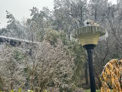 -青龙山国家森林公园