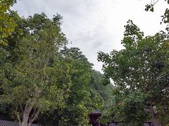 -丰都鬼城名山景区