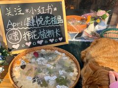 -辛庄国际文化艺术区