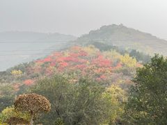 -北京十三陵国家森林公园蟒山景区